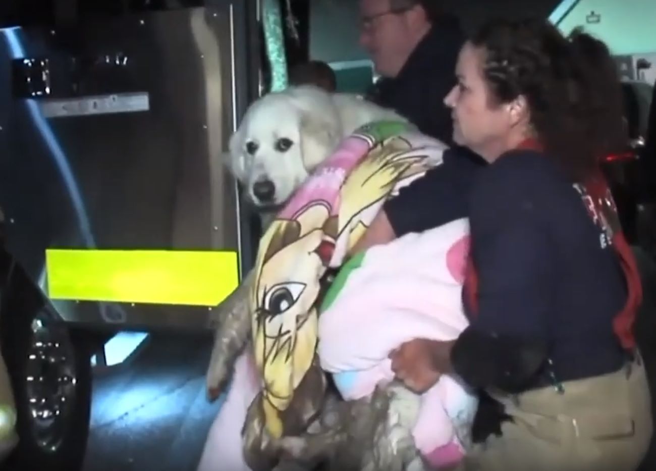 Rescate del perro en Oklahoma / Youtube