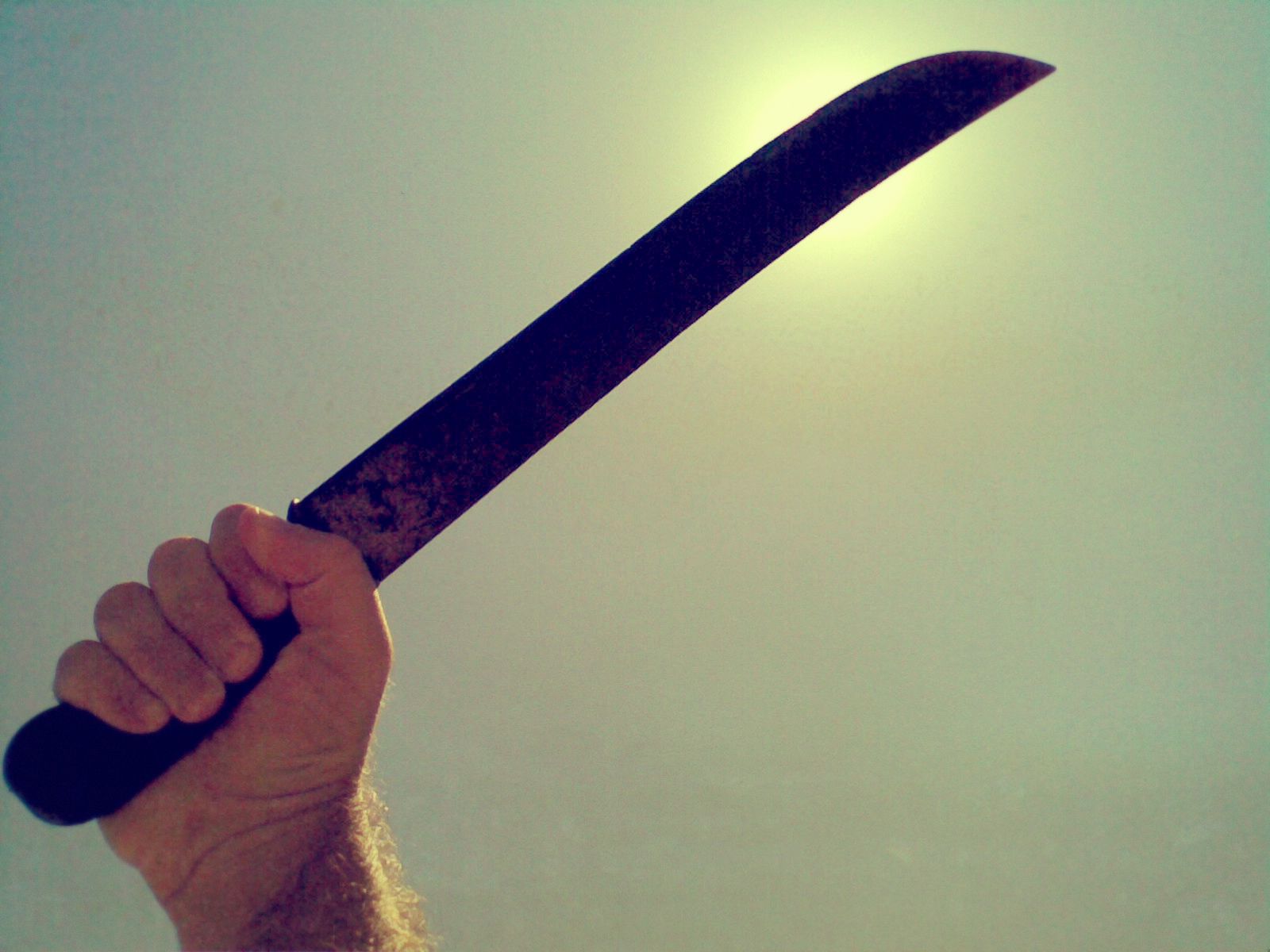 Machete / Marcelo Braga Machete / Marcelo Braga