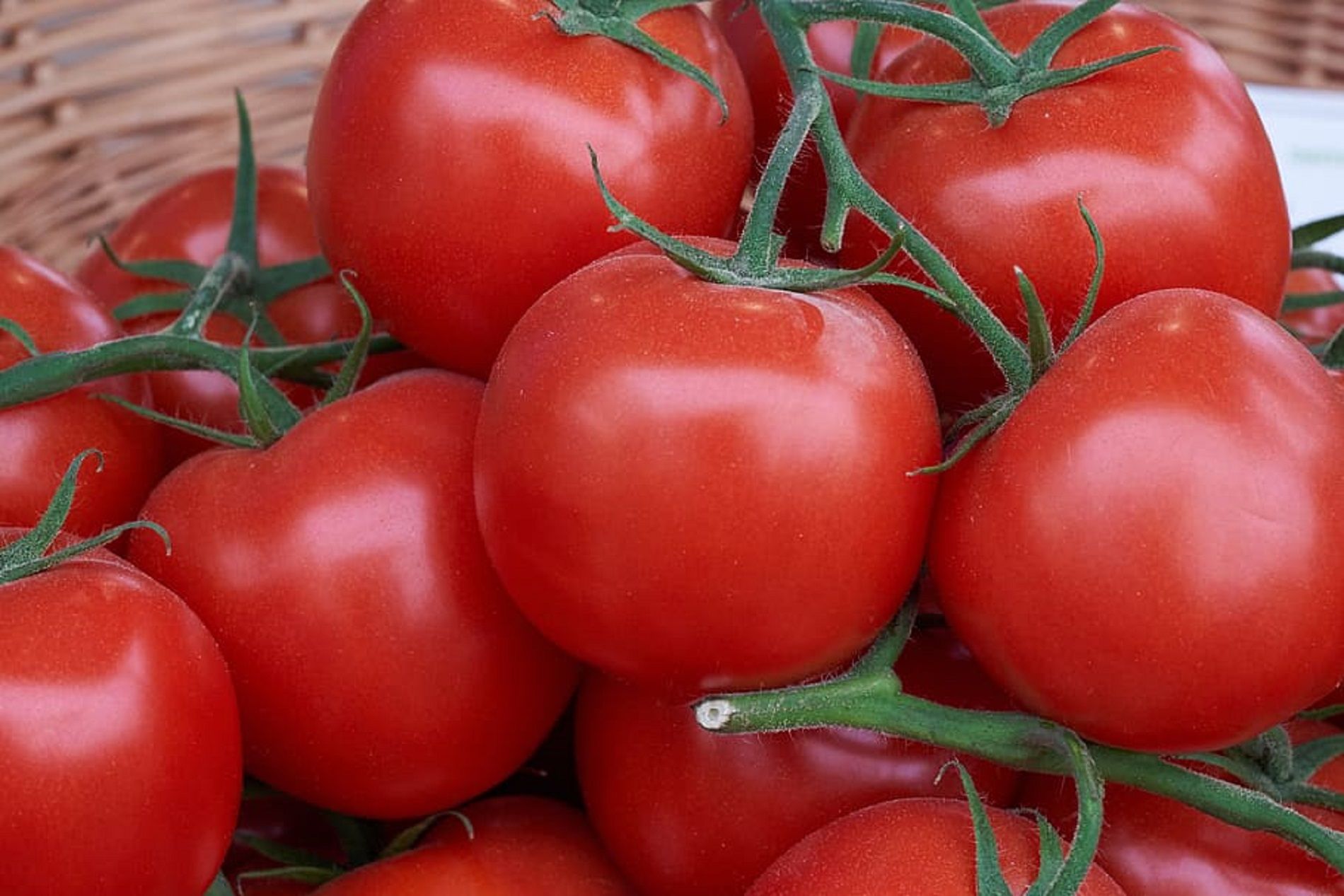 Tomates / Pxfuel