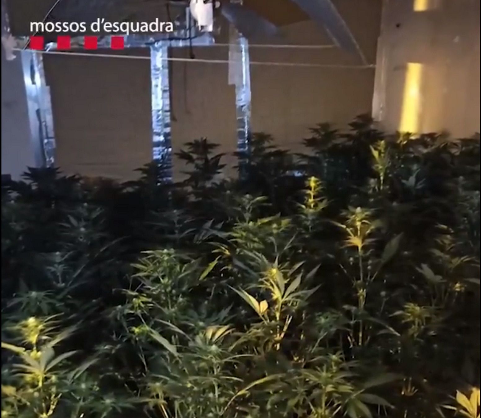 Los Mossos desmantelan un piso de narcotráfico en Sants-Montjuic / RRSS Mossos d'Esquadra