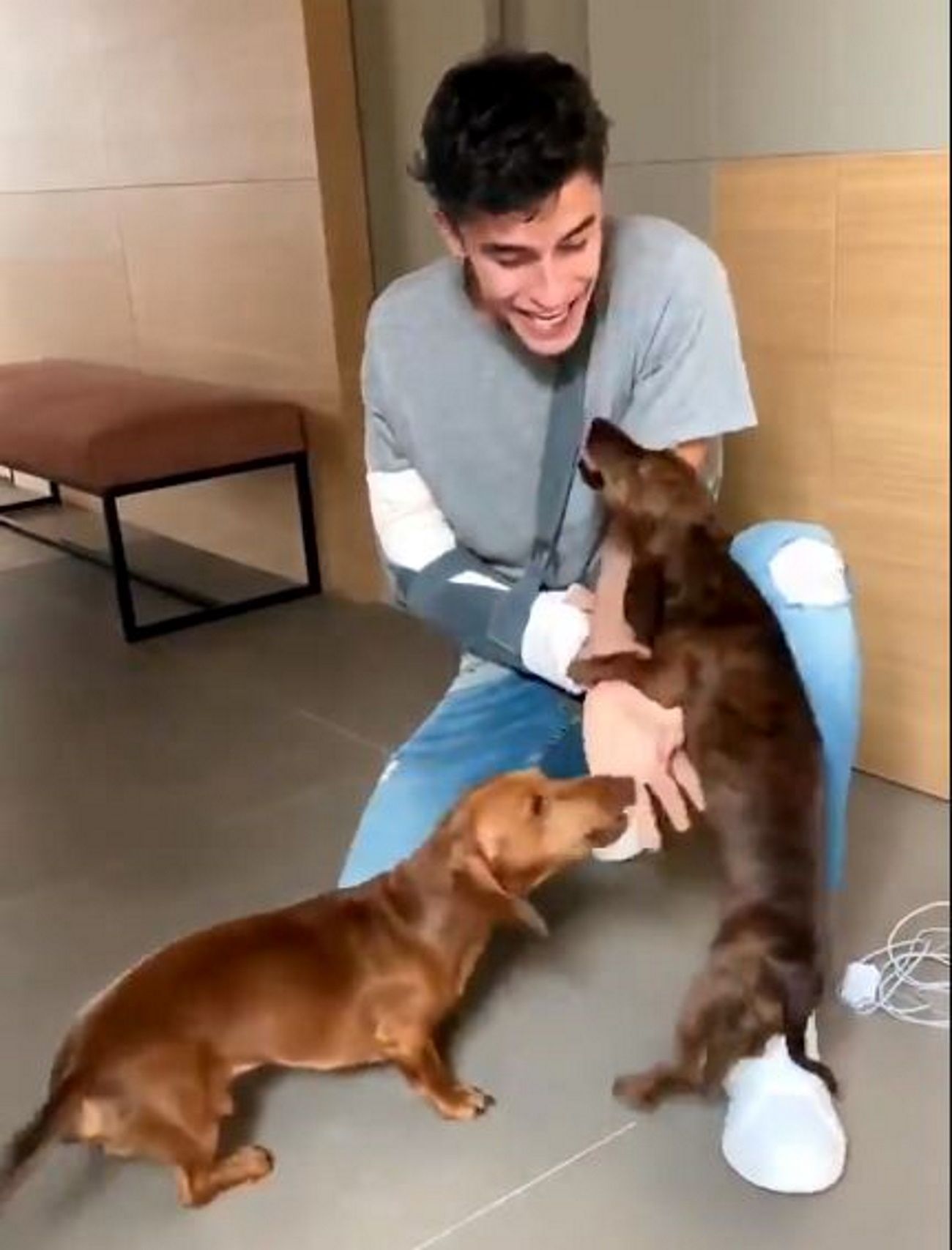 El recibimiento de los perros de Marc Márquez a su vuelta del hospital / Twitter @marcmarquez93