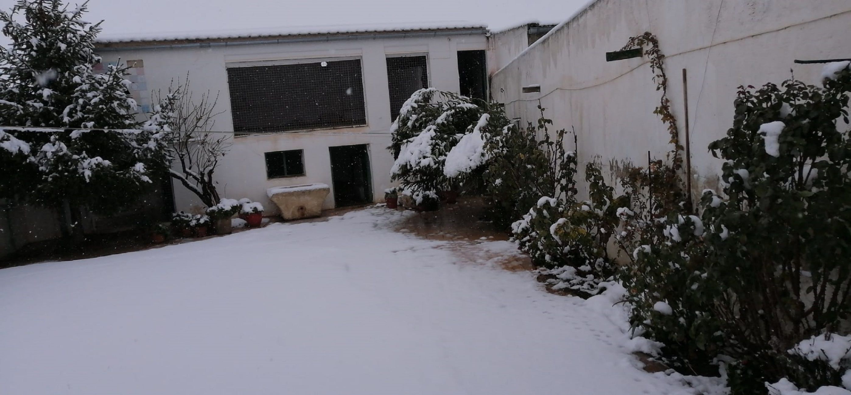 Nieve Montealegre / Cedida