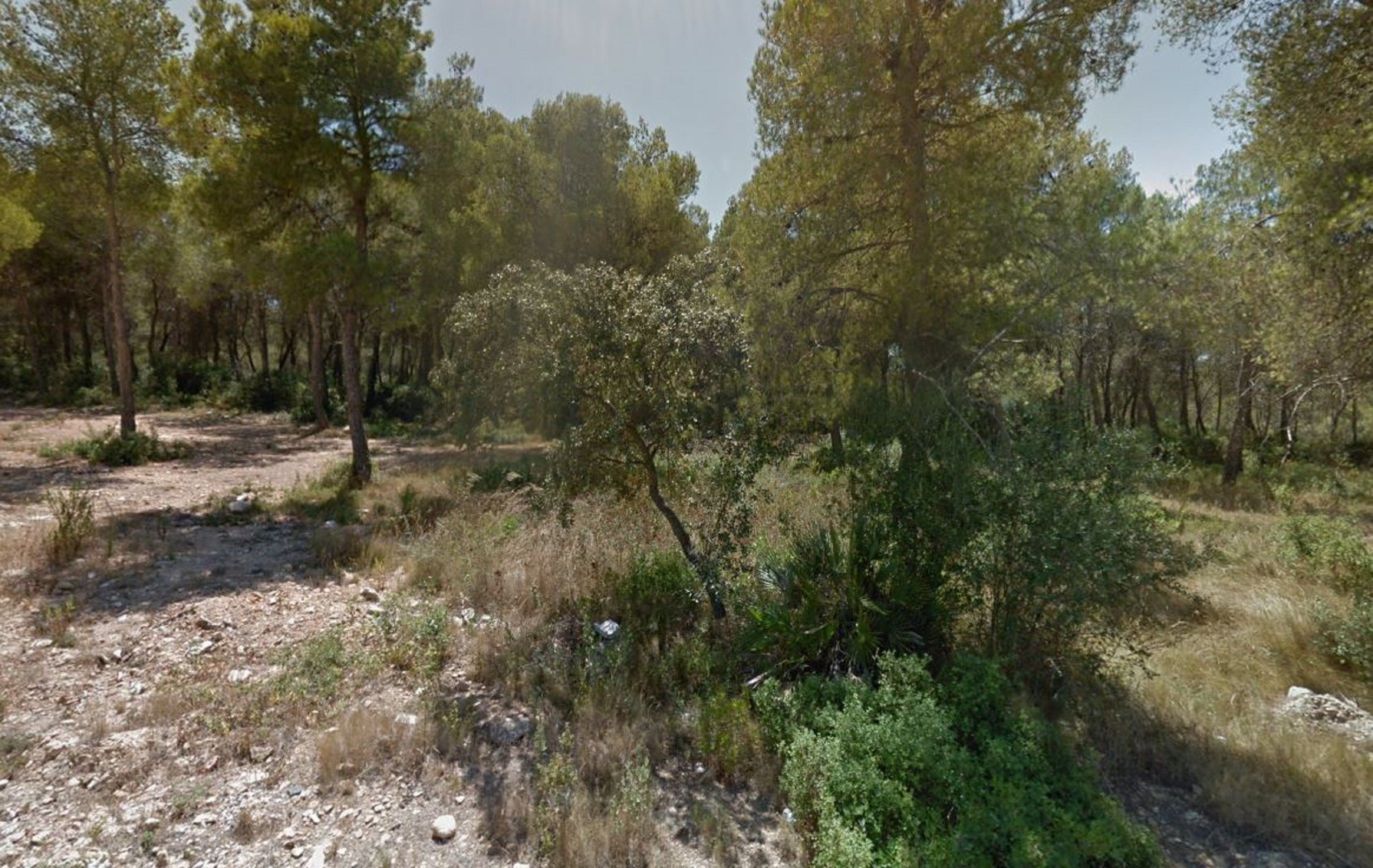 Barranco Catllar accidente / Google Maps