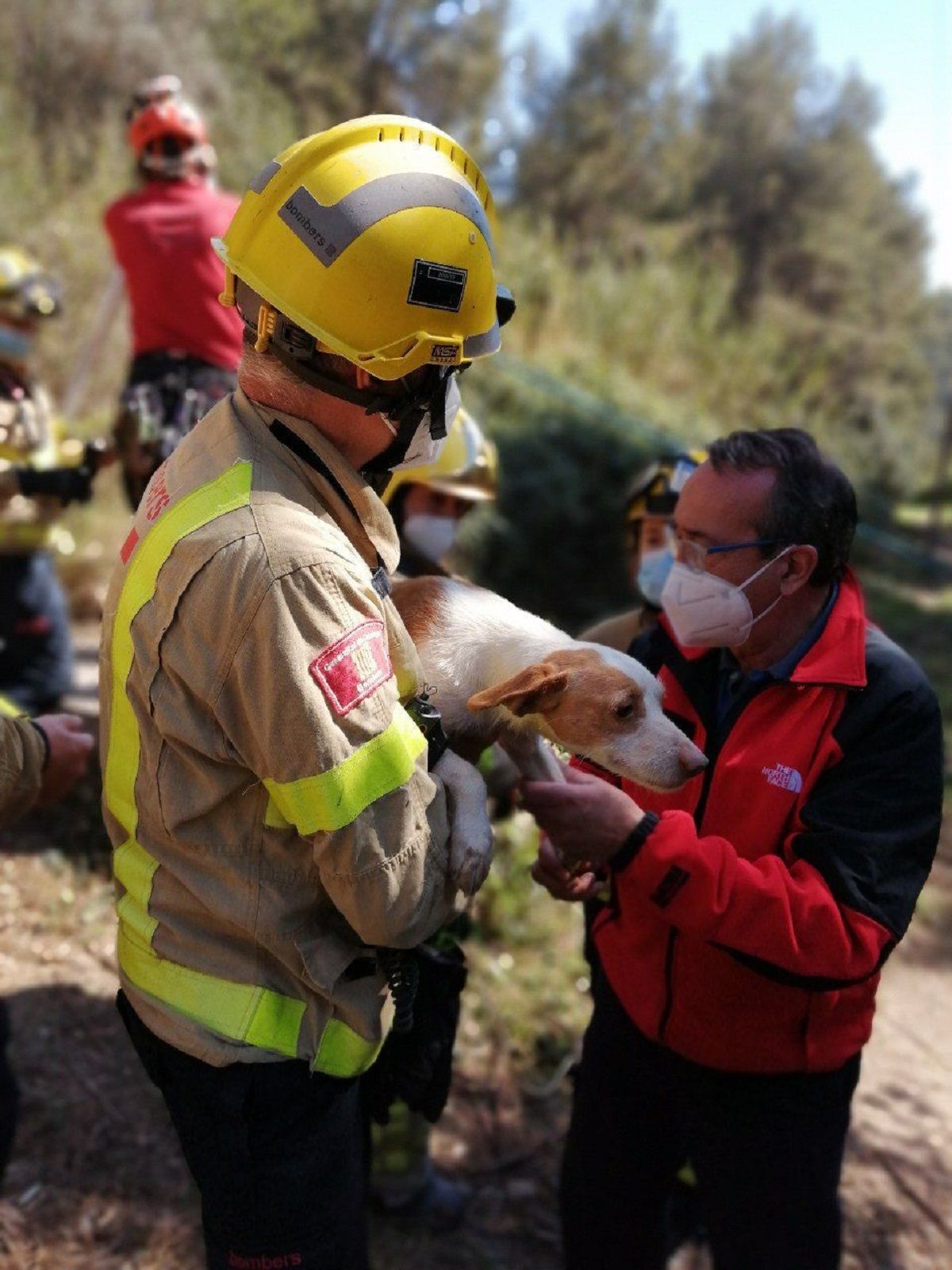 Rescate perros Sant Boi / Bombers