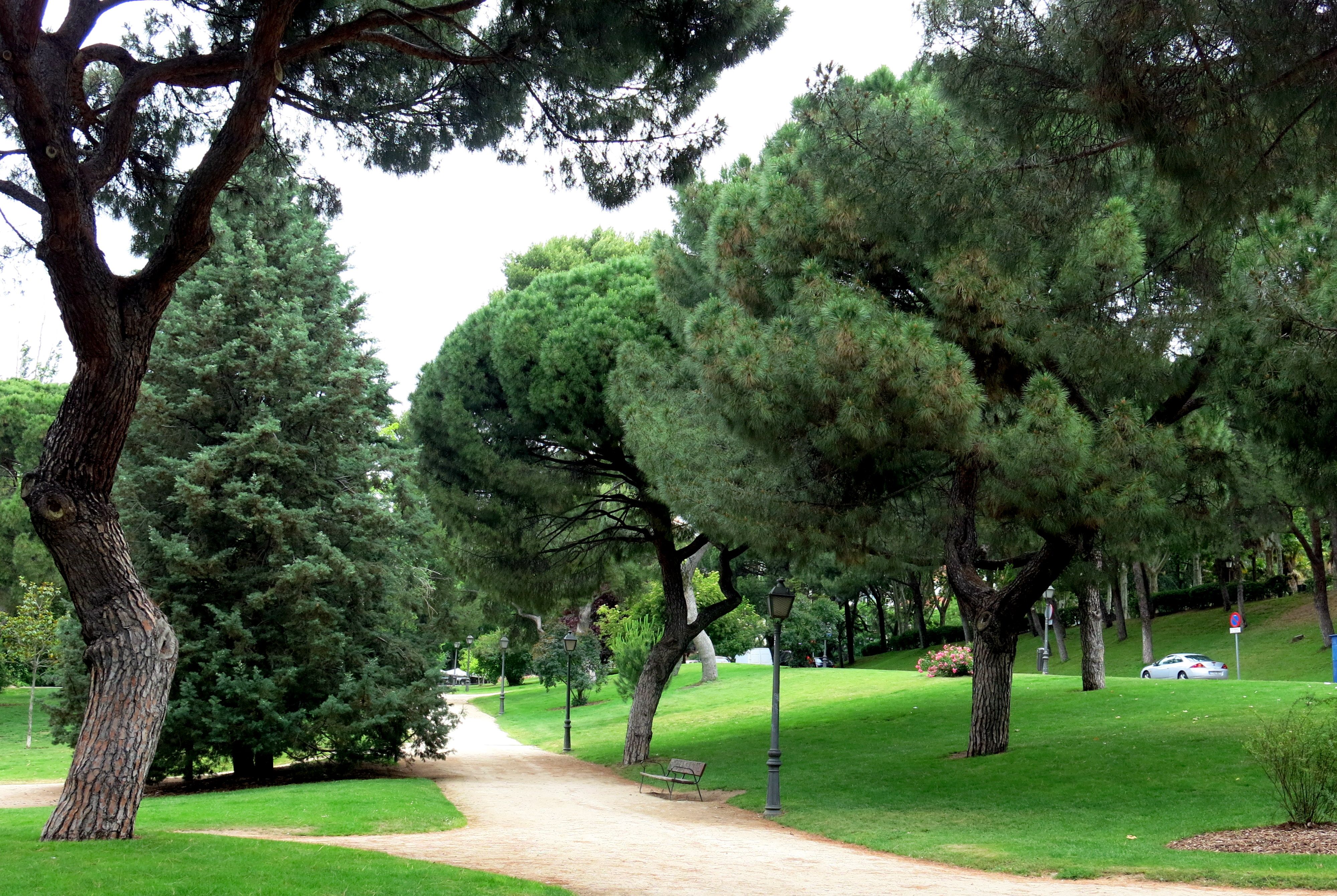 Parque del Oeste Madrid / Wikimedia Commons