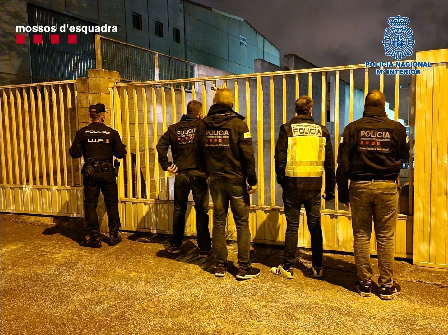 Mafia china droga Barcelona / Mossos d'Esquadra y Policía Nacional