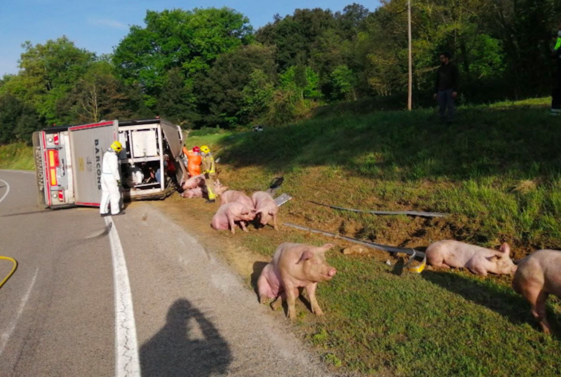 Camión cerdos / Bombers Generalitat
