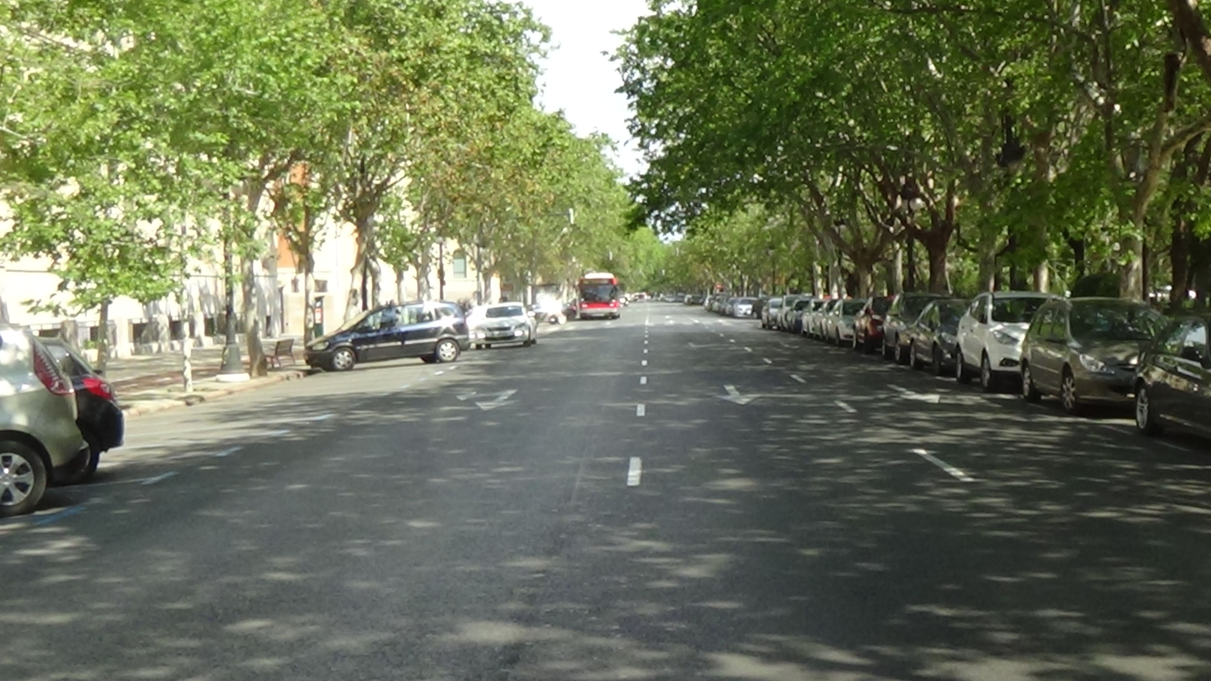 Avenida Blasco Ibáñez Valencia / Wikimedia