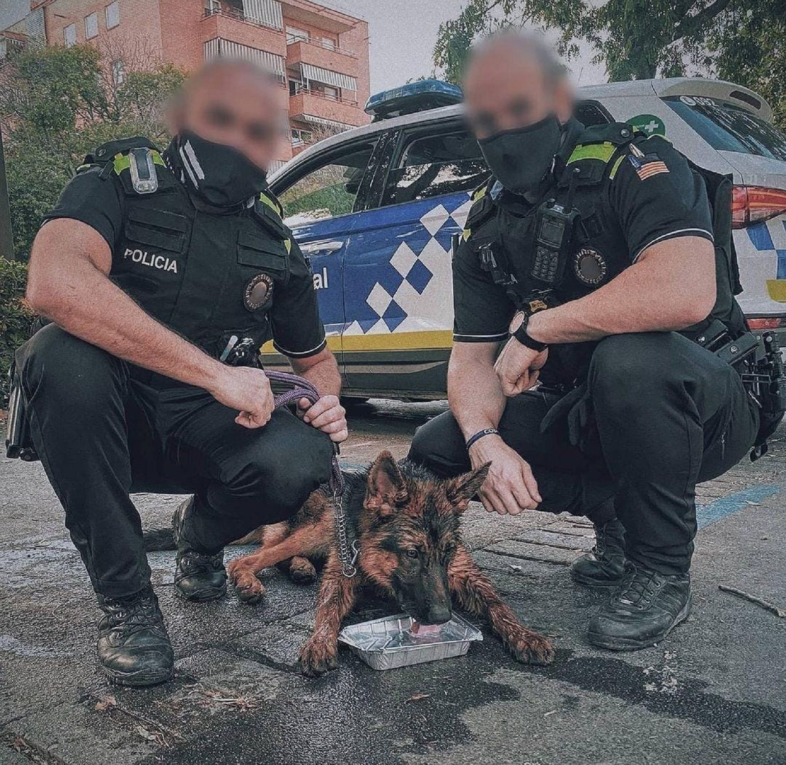 Rescate perro Castelldefels / Guardia Urbana Barcelona