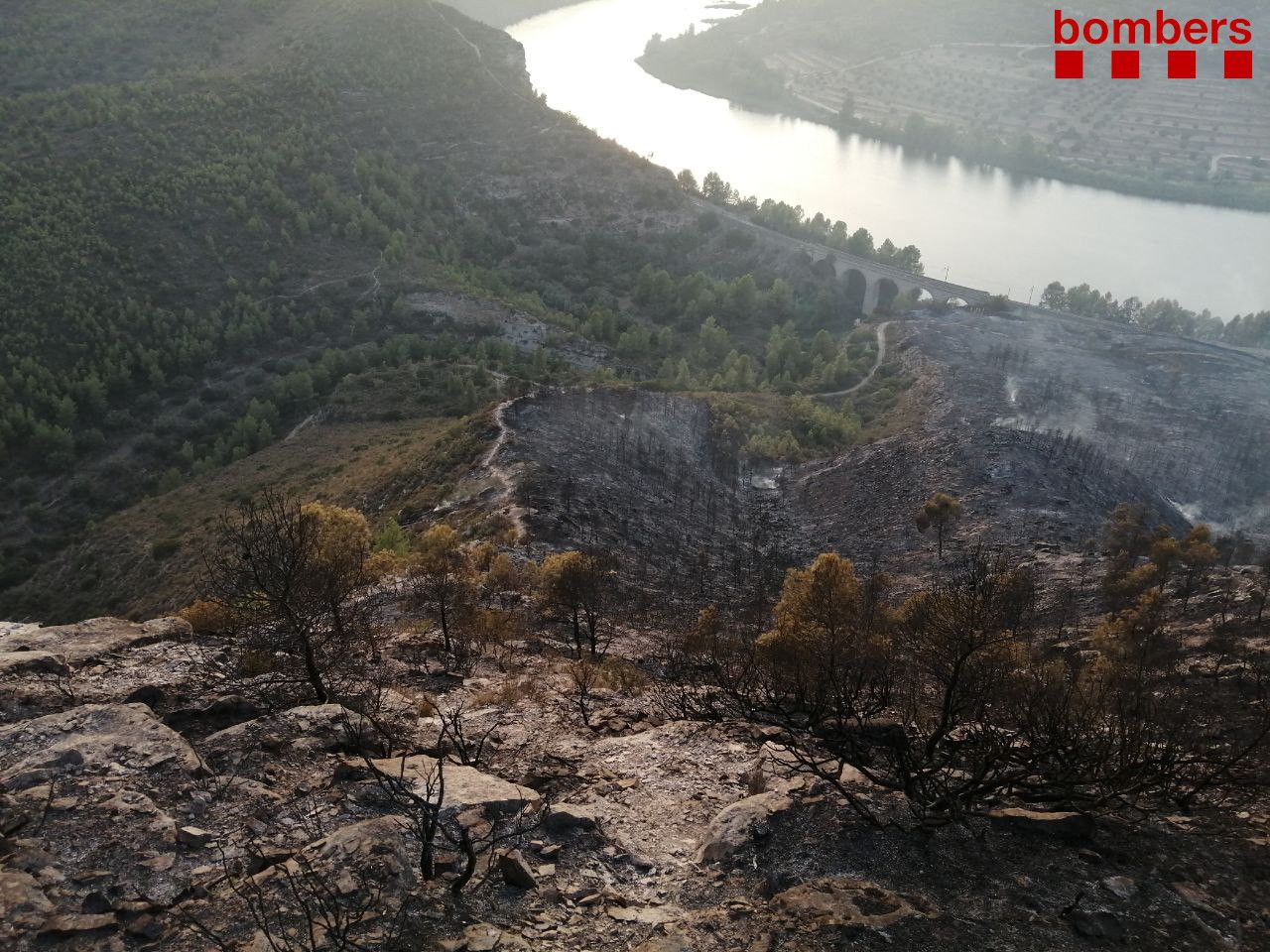 Incendio Terra Alta Pobla de Massaluca / Bombers