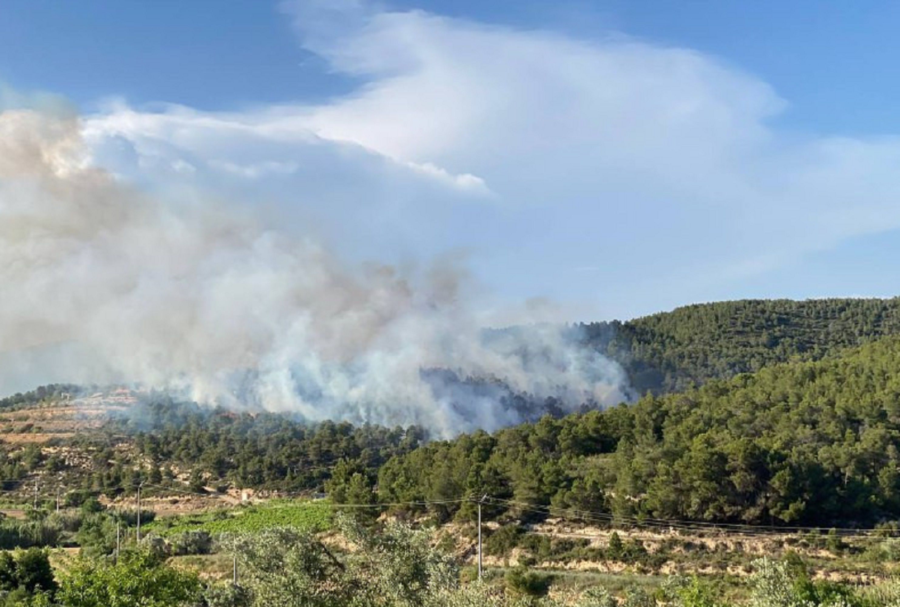 Incendi Terra Alta Tarragona 23 Dotacions Bombers