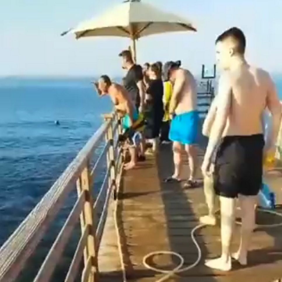 Ataque tiburón