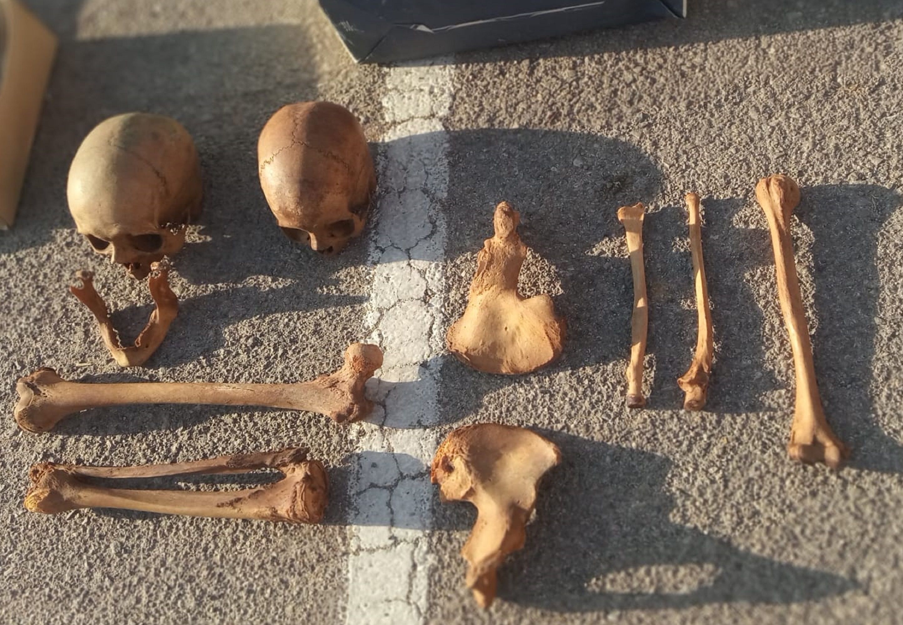 esquelet huma ossos contenidor vic barri santa anna Canal Taronja TV Osona