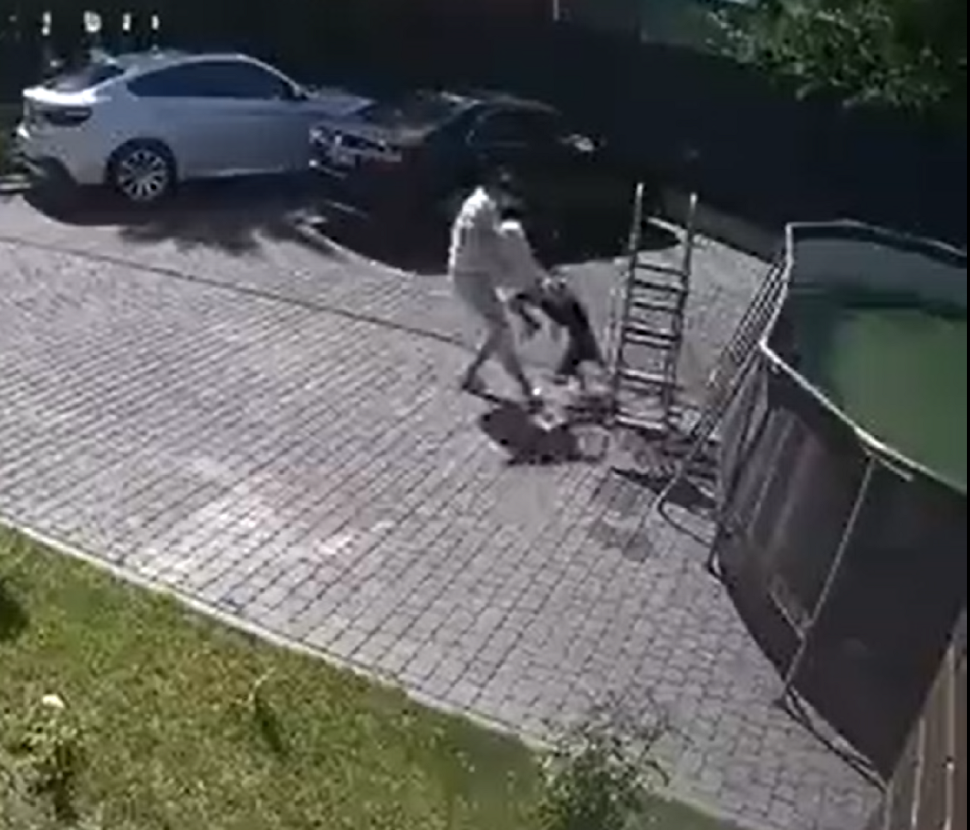 mono ataca niña moscu