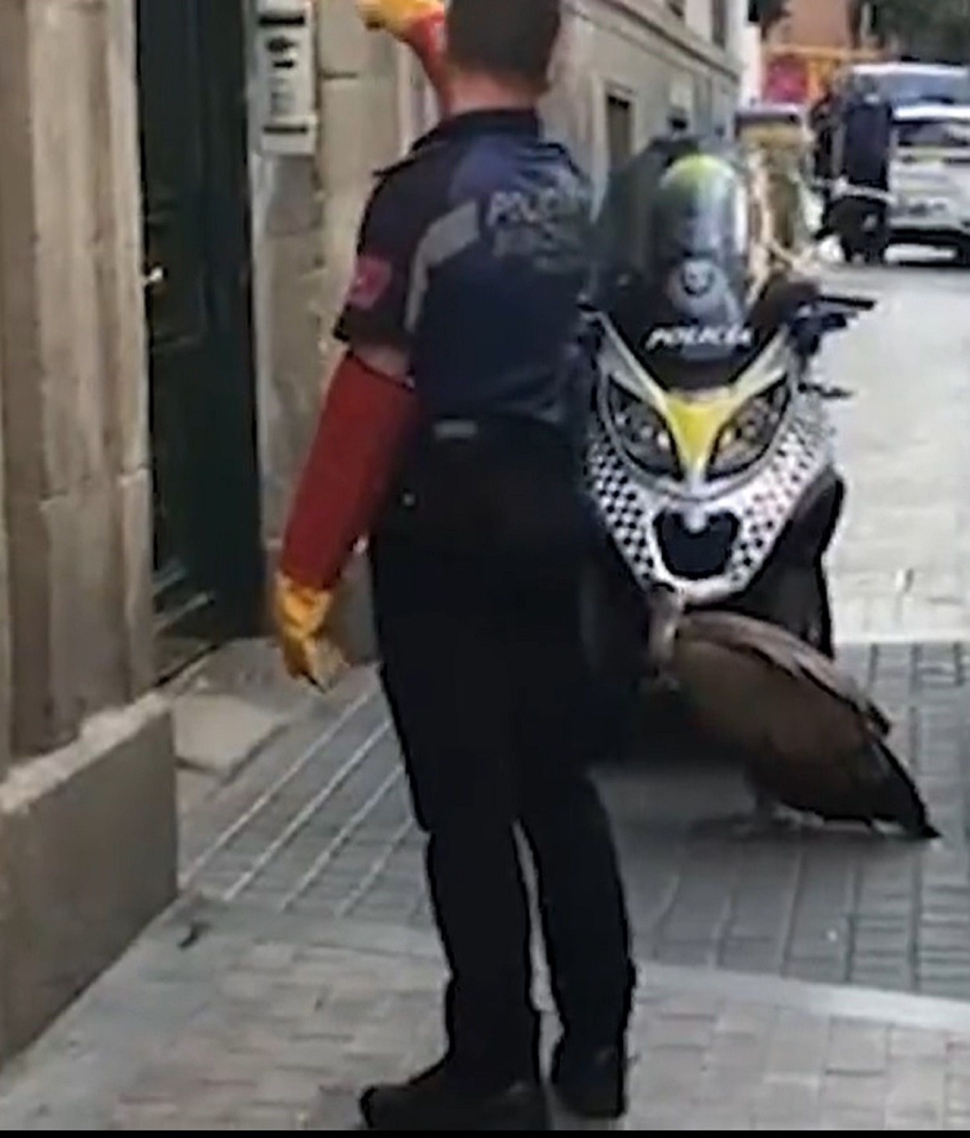 buitre madrid policia municipal rescate