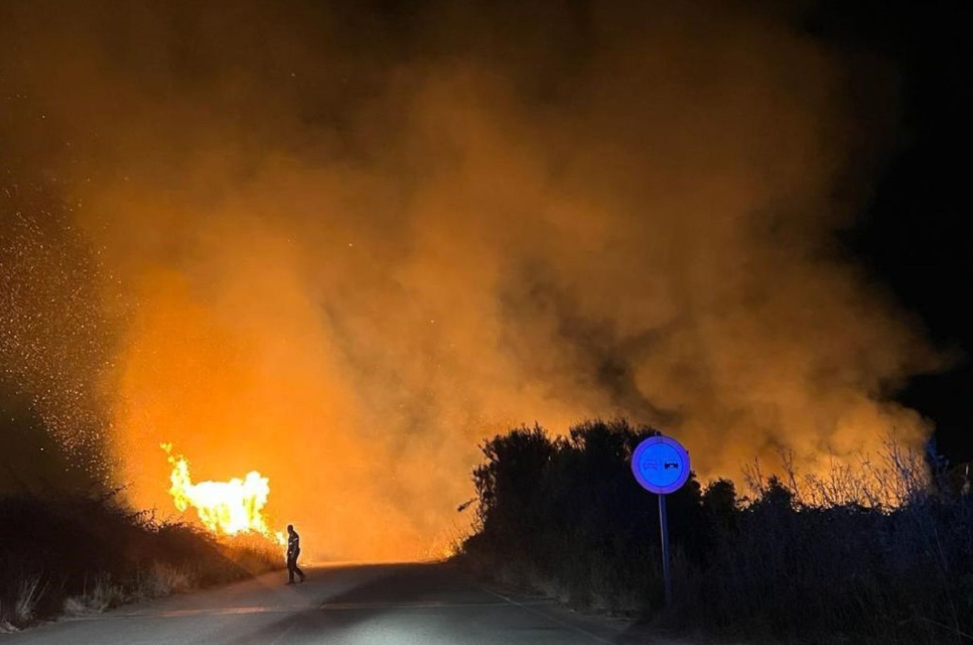 Incendi Llobregat / Mossos d'Esquadra i Agents Rurals