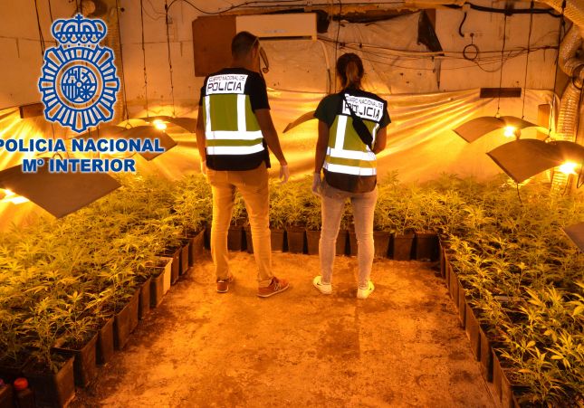 Plantacions marihuana Valls Plantacions marihuana Valls