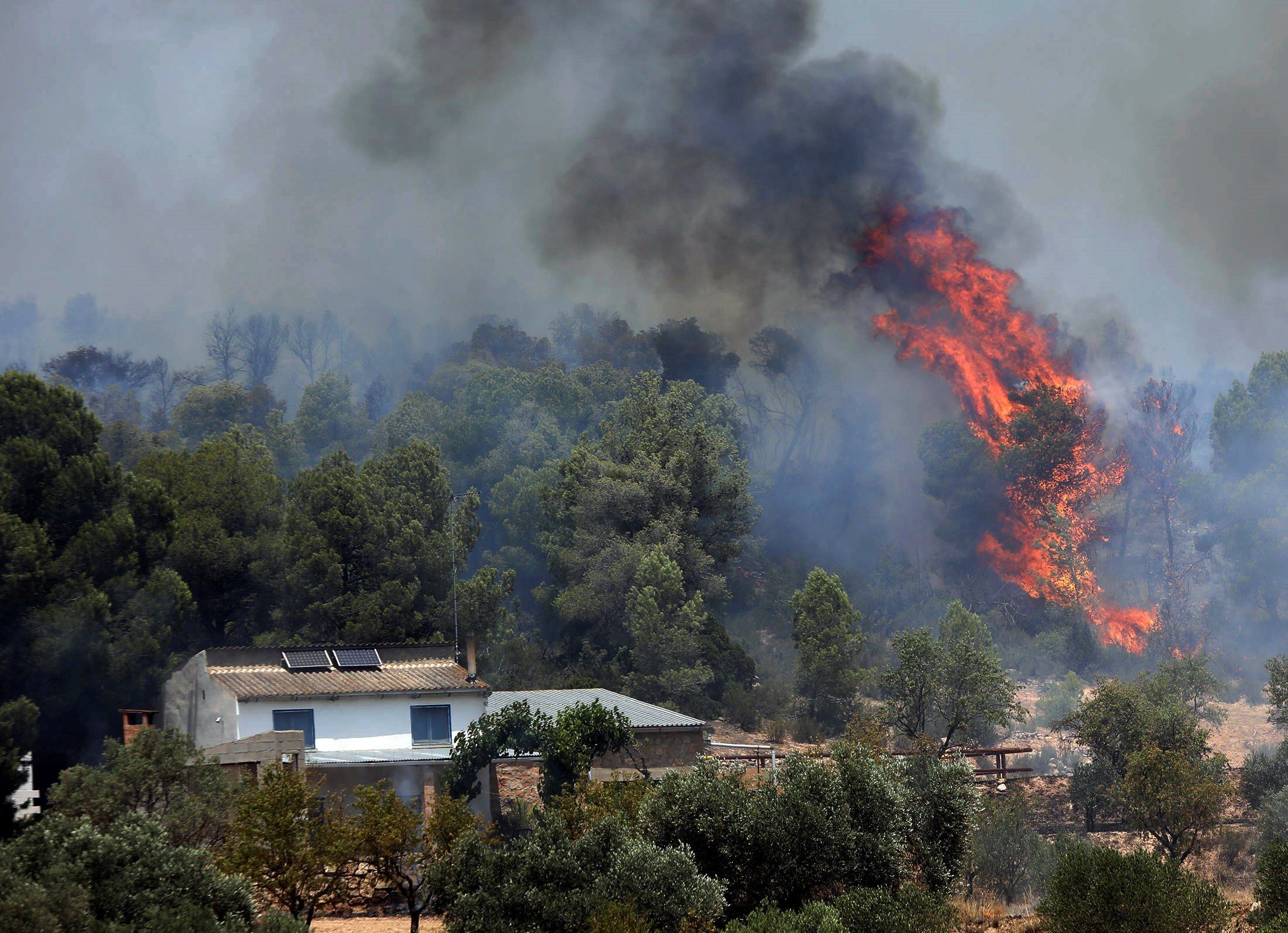 El pitjor incendi dels últims anys: 6.500 hectàrees cremades i ...