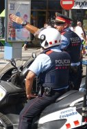 mossos pixabay