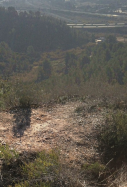 Barranc castellbisbal   maps