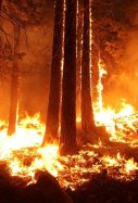 incendi forestal - pixabay
