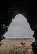 cueva costa mar phil hearing
