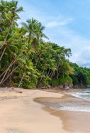 platja carib panama - rowan heuvel unsplash