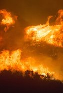 incendi forestal
