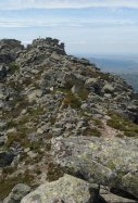 La Peñota