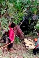 accident malasia