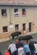 cornada encierro Navarra