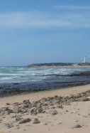 cadiz