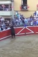 toro cortes navarra