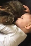 Niño con un gato_Archivo