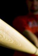 bate de beisbol