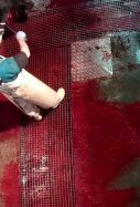 Maltrato a los animales en un matadero