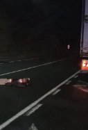 Chico borracho tumbado carretera / Policía Foral