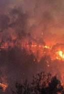 Incendio / Twitter: @Cahora