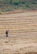Niño mata a su padre en accidente de caza / EFE