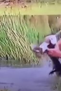 Un hombre se enfrenta a un caiman para rescatar a su perro / Nuevo diario