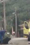 Perro muerte Mediona / Twitter PartidoPACMA