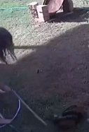 Una mujer se enfrenta a una pitón que ataca a su perro / Cedida