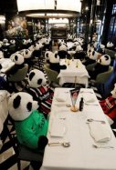 Cien osos panda en un restaurante / EFE