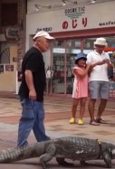Una familia lleva 40 años conviviendo con un cocodrilo / Caters Clips