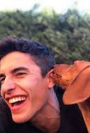 La bienvenida de los perros de Marc Márquez a su vuelta del hospital