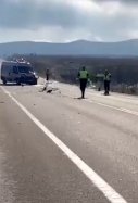 Tragedia en la carretera, mueren dos chicos de 16 y 18 años en La Rioja / Foto: captura pantalla TVR