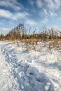 Nieve / Pixnio