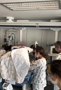 Muere niño 12 años coronavirus / Europa Press