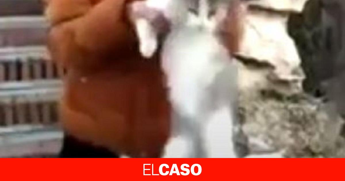 elcaso.elnacional.cat