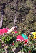 bombers retirant inflable caldes ACN